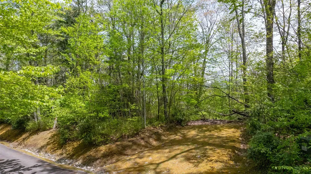133 Horseshoe Bend Lane Cullowhee NC 28723