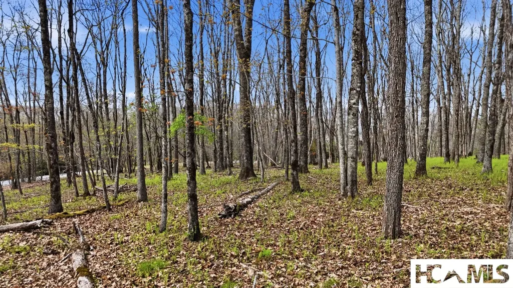 Lot 5 Misty Ridge Trail Glenville NC 28736