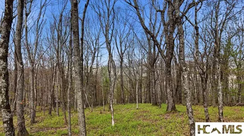 5 Misty Ridge Trail Glenville NC 28736