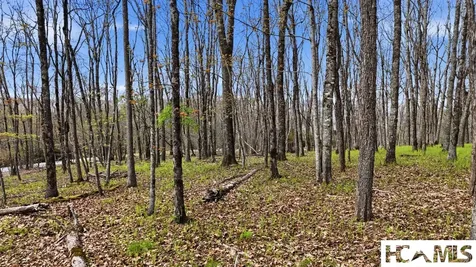 Lot 5 Misty Ridge Trail Glenville NC 28736