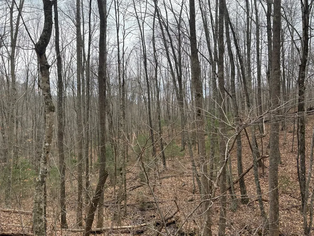 0 Pond View Ridge Franklin NC 28734