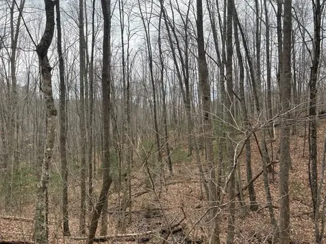 0 Pond View Ridge Franklin NC 28734