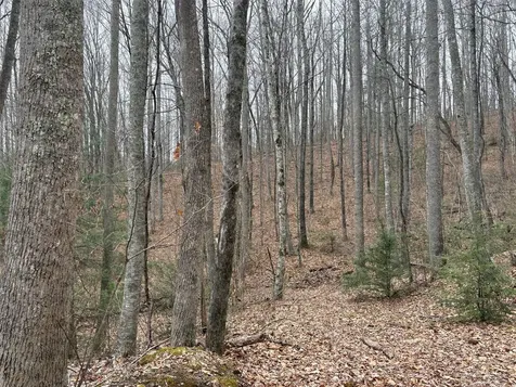 0 Pond View Ridge Franklin NC 28734