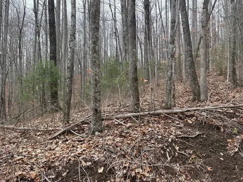 0 Pond View Ridge Franklin NC 28734
