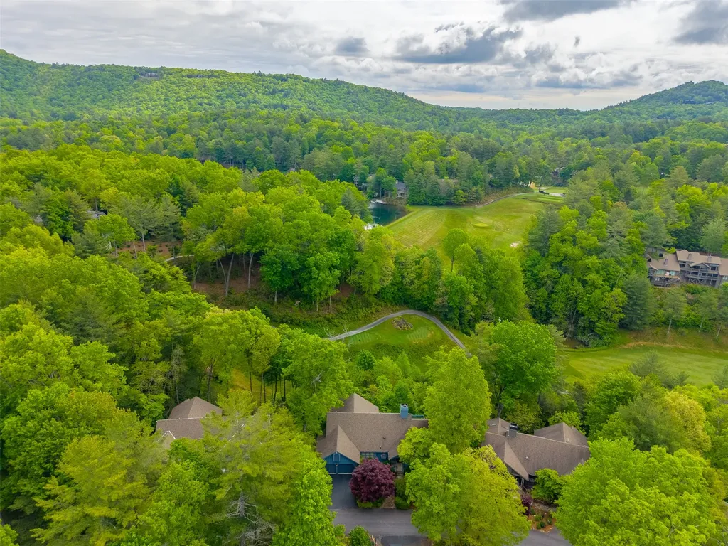 29 Cottage Drive Sapphire NC 28774