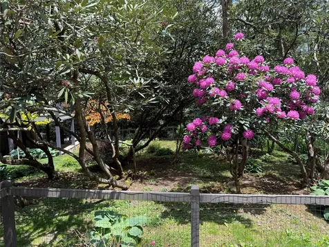 94 Netsi Place Highlands NC 28741