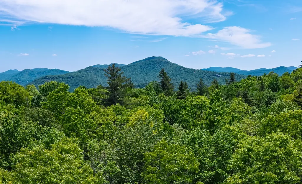 Lot 2 Treasurewood Road Glenville NC 28736