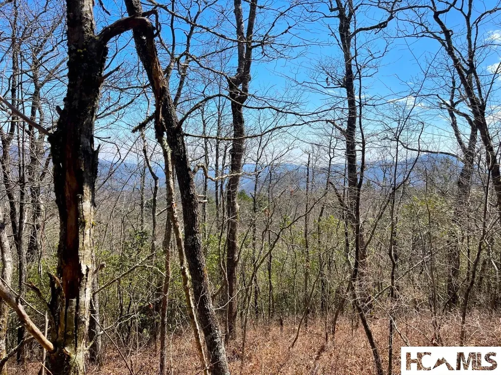 Lot 2 Treasurewood Road Glenville NC 28736