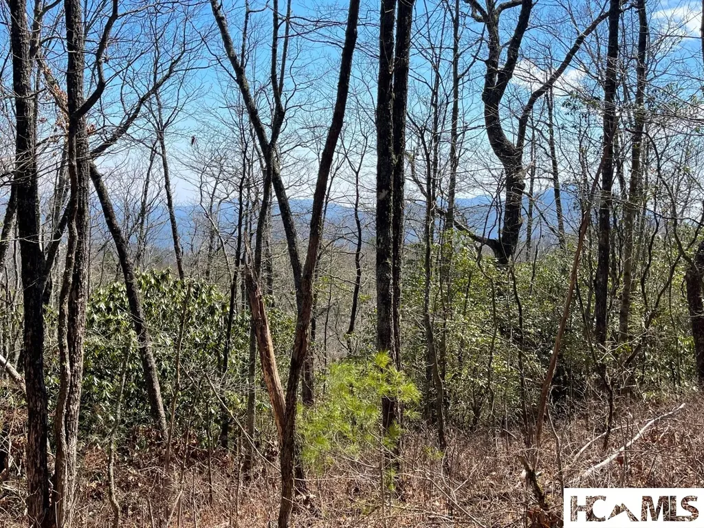 Lot 2 Treasurewood Road Glenville NC 28736