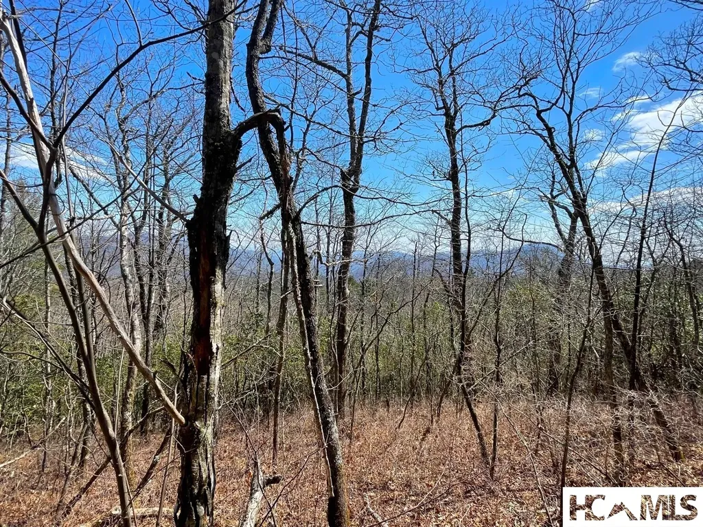Lot 2 Treasurewood Road Glenville NC 28736