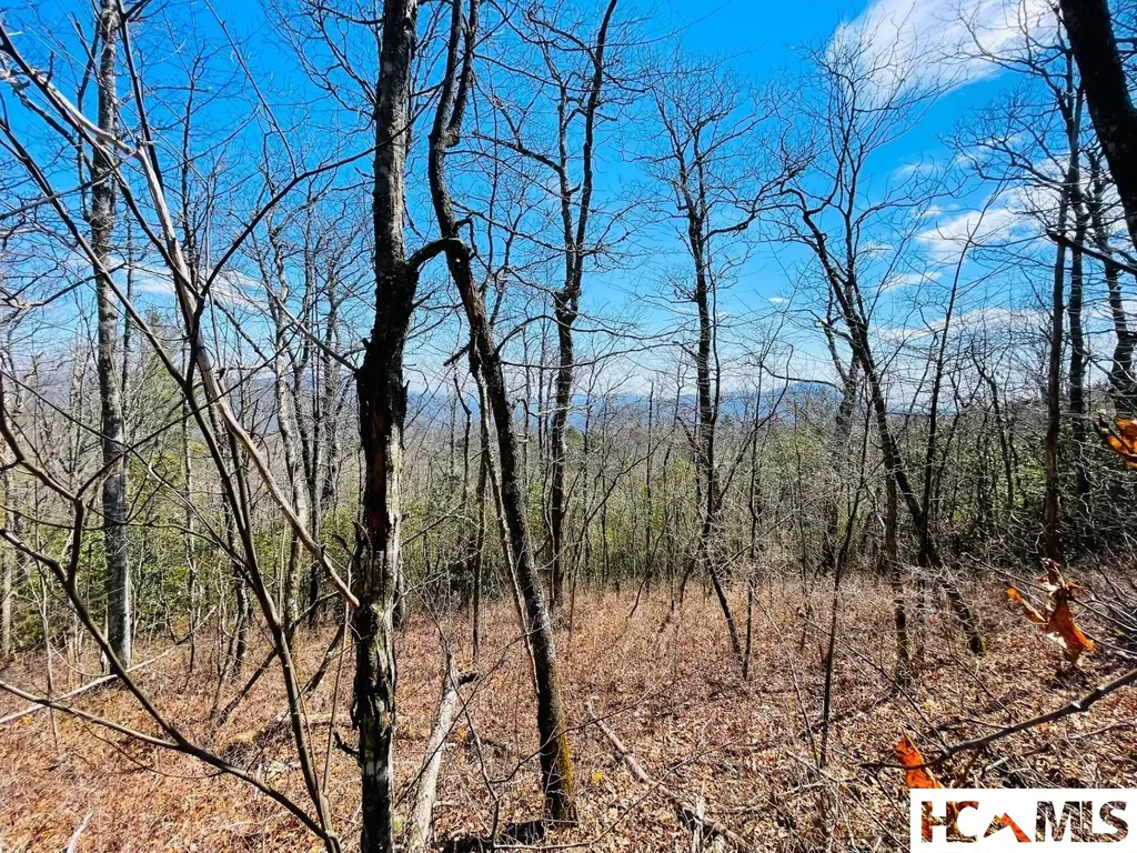 Lot 2 Treasurewood Road Glenville NC 28736