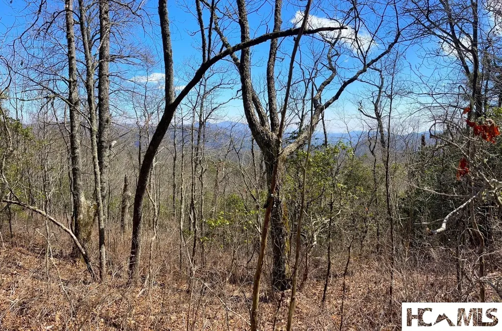 Lot 2 Treasurewood Road Glenville NC 28736