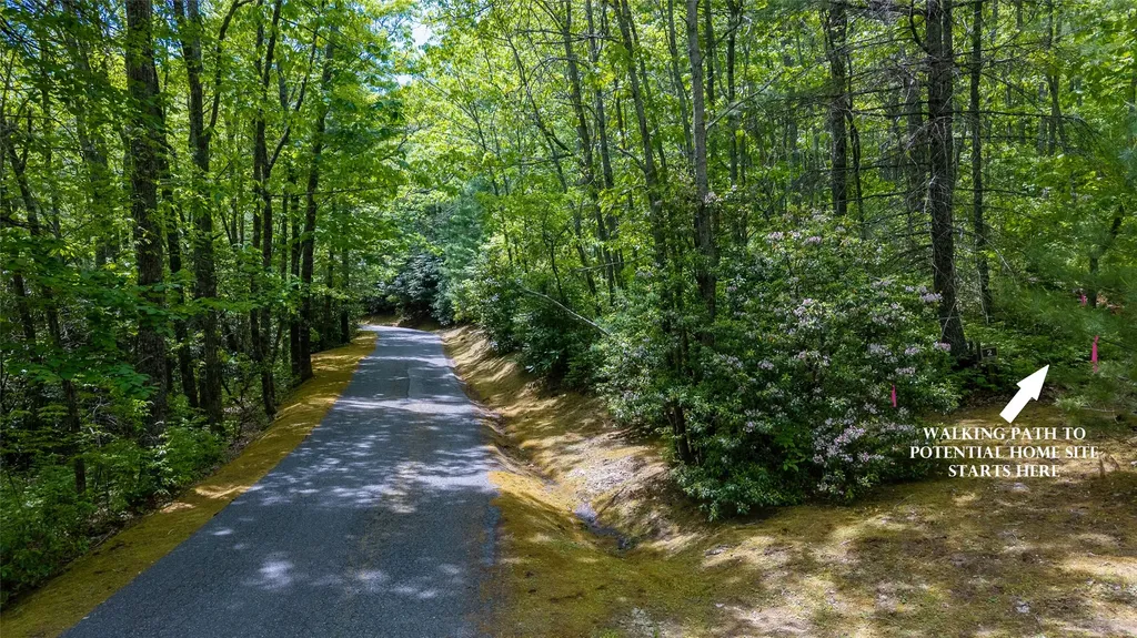 Lot 2 Treasurewood Road Glenville NC 28736