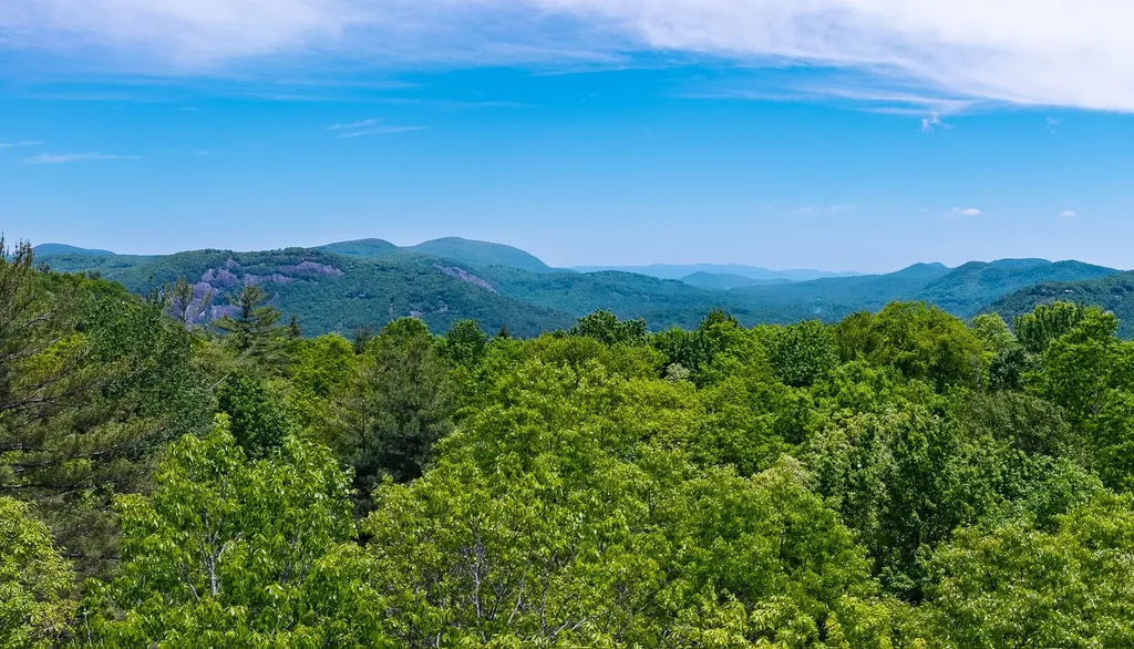 Lot 2 Treasurewood Road Glenville NC 28736