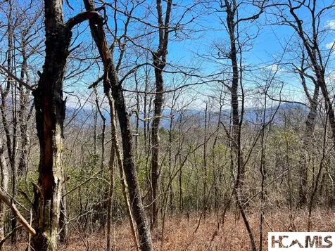 Lot 2 Treasurewood Road Glenville NC 28736
