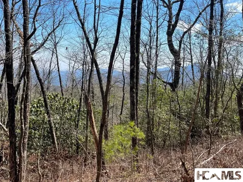 Lot 2 Treasurewood Road Glenville NC 28736