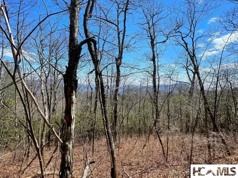Lot 2 Treasurewood Road Glenville NC 28736