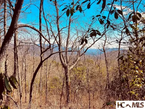 Lot 2 Treasurewood Road Glenville NC 28736