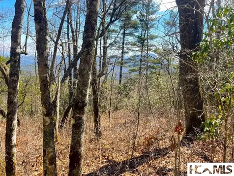 Lot 2 Treasurewood Road Glenville NC 28736