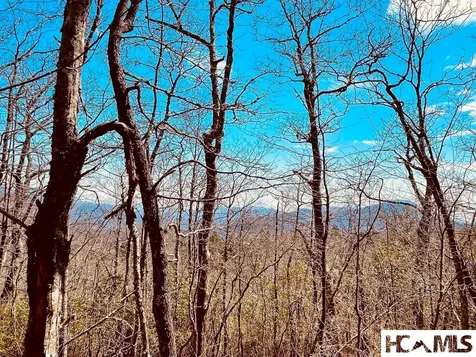 Lot 2 Treasurewood Road Glenville NC 28736