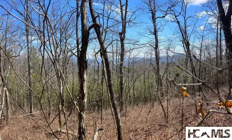 Lot 2 Treasurewood Road Glenville NC 28736