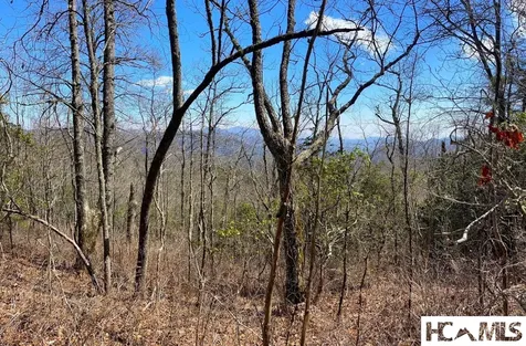 Lot 2 Treasurewood Road Glenville NC 28736