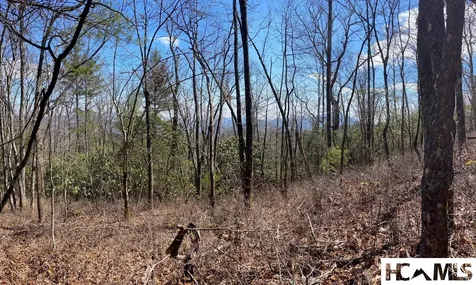 Lot 2 Treasurewood Road Glenville NC 28736