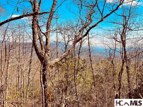 Lot 2 Treasurewood Road Glenville NC 28736