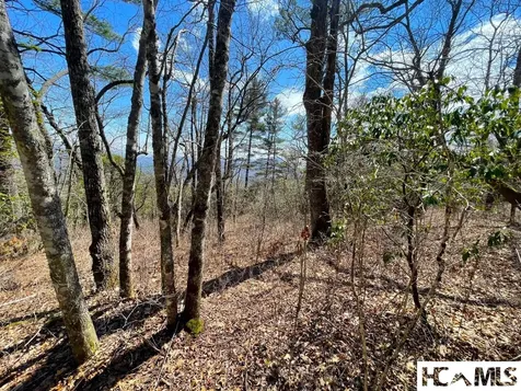 Lot 2 Treasurewood Road Glenville NC 28736