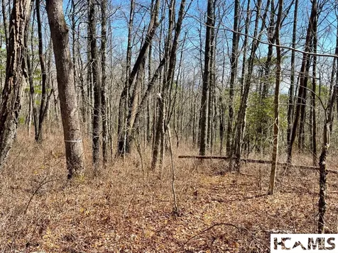 Lot 2 Treasurewood Road Glenville NC 28736
