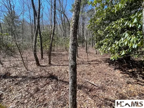 Lot 2 Treasurewood Road Glenville NC 28736