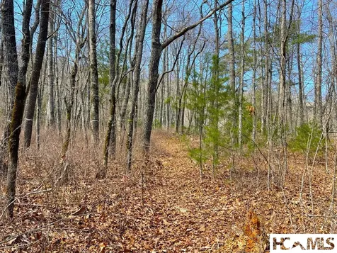 Lot 2 Treasurewood Road Glenville NC 28736