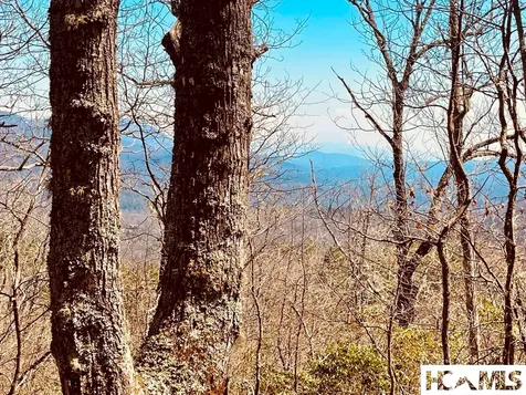 Lot 2 Treasurewood Road Glenville NC 28736