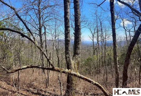 Lot 2 Treasurewood Road Glenville NC 28736