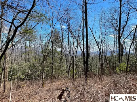 Lot 2 Treasurewood Road Glenville NC 28736