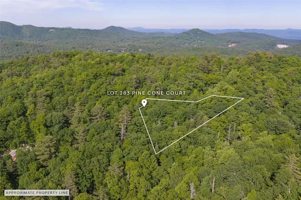 283 Pine Cone Court Sapphire NC 28774