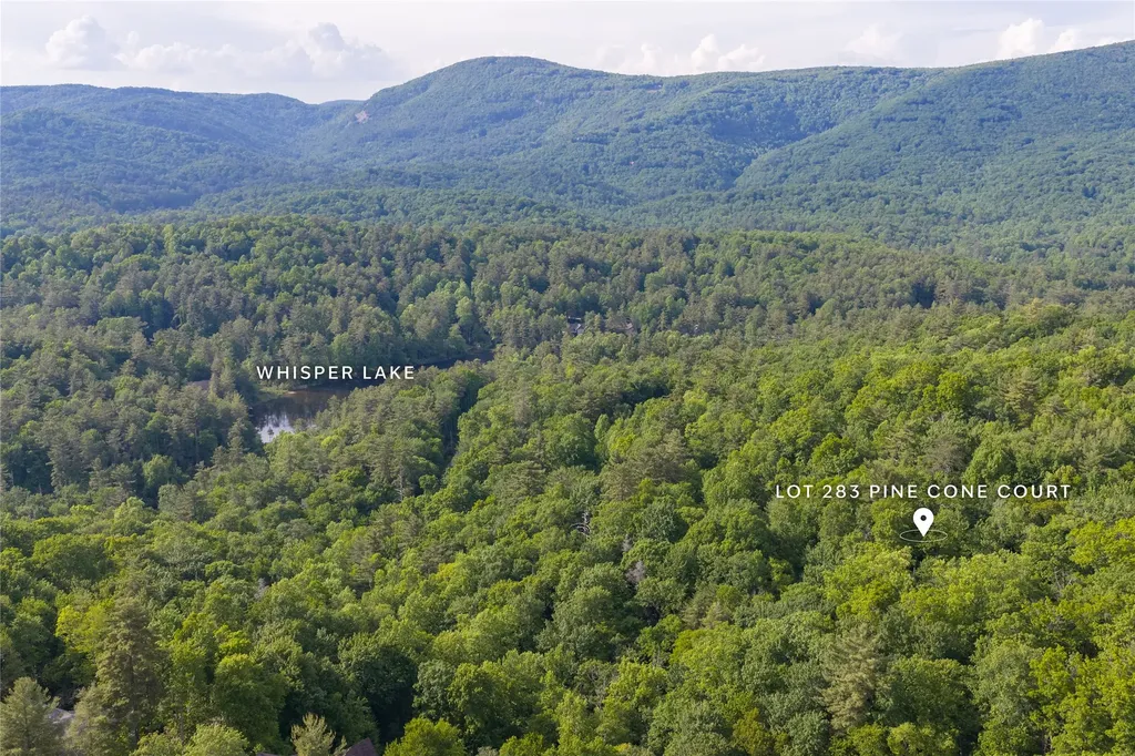 283 Pine Cone Court Sapphire NC 28774