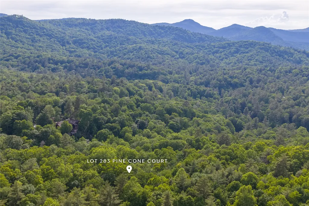283 Pine Cone Court Sapphire NC 28774
