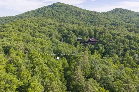 283 Pine Cone Court Sapphire NC 28774