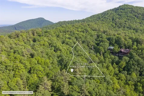 283 Pine Cone Court Sapphire NC 28774