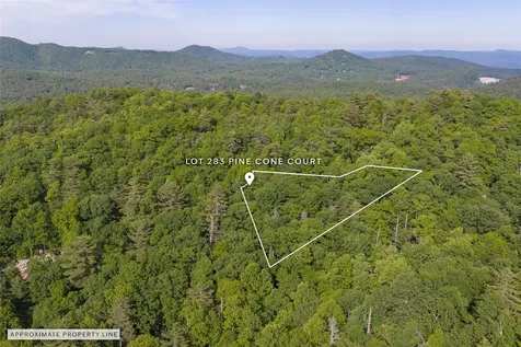 283 Pine Cone Court Sapphire NC 28774