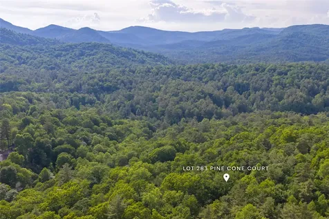 283 Pine Cone Court Sapphire NC 28774