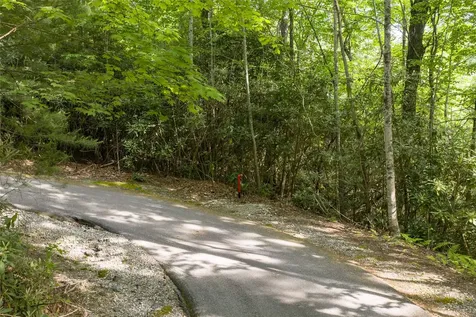 283 Pine Cone Court Sapphire NC 28774