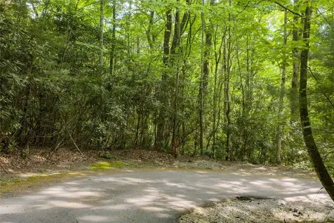 283 Pine Cone Court Sapphire NC 28774