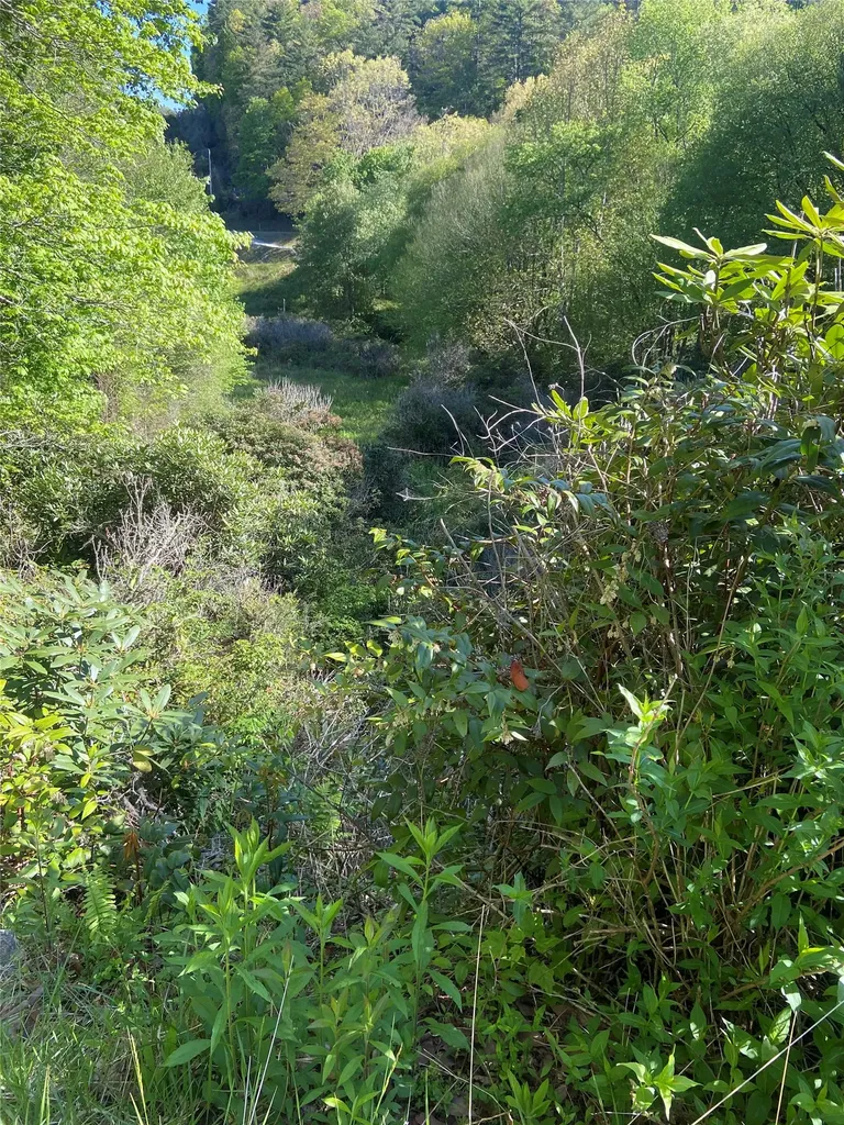 25 Receptive Drive Glenville NC 28736