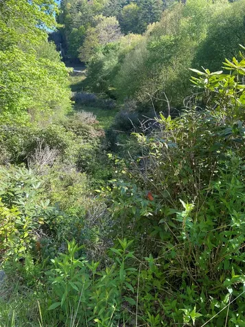 25 Receptive Drive Glenville NC 28736