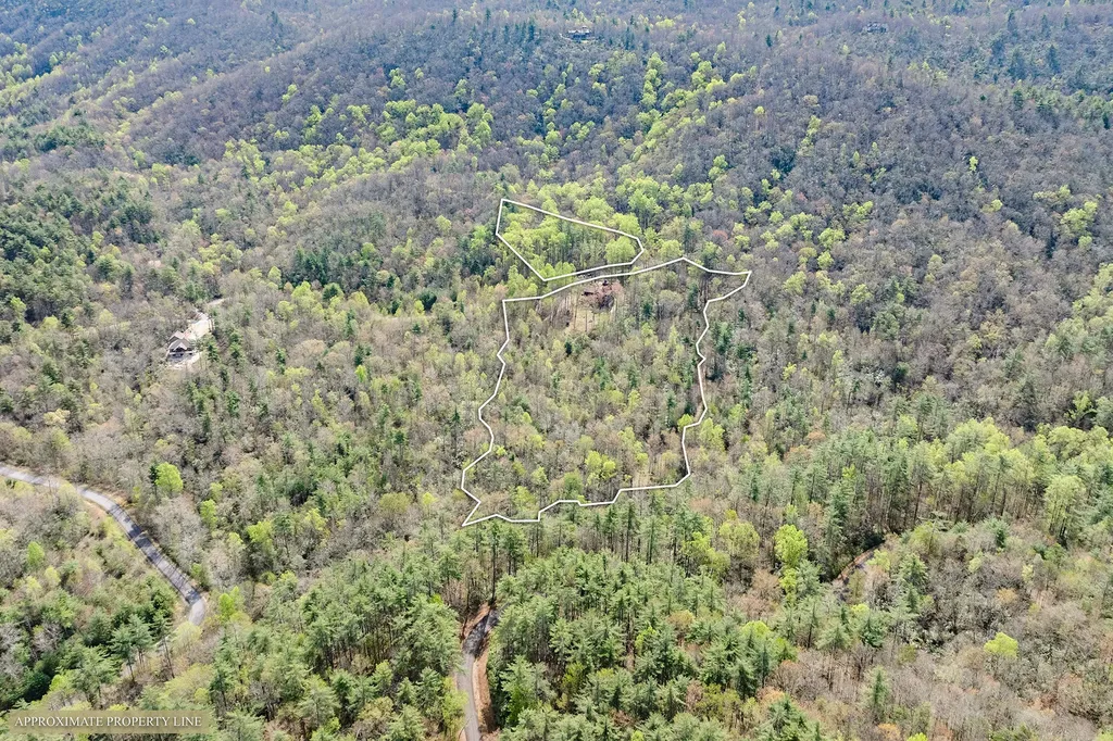 716 Pepper Vine Circle Brevard NC 28712