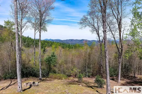 716 Pepper Vine Circle Brevard NC 28712