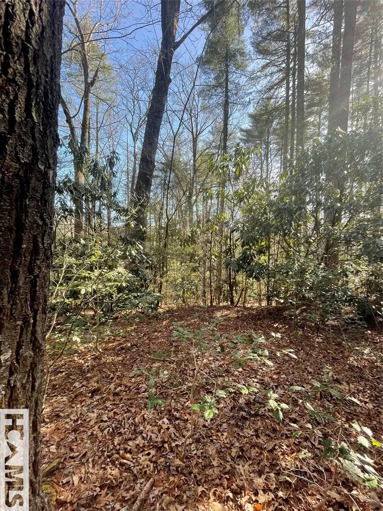 168 Plateau Ridge Cashiers NC 28717