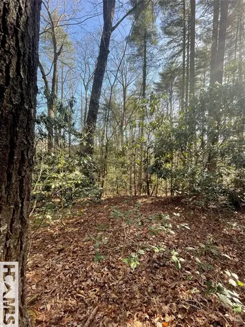 168 Plateau Ridge Cashiers NC 28717
